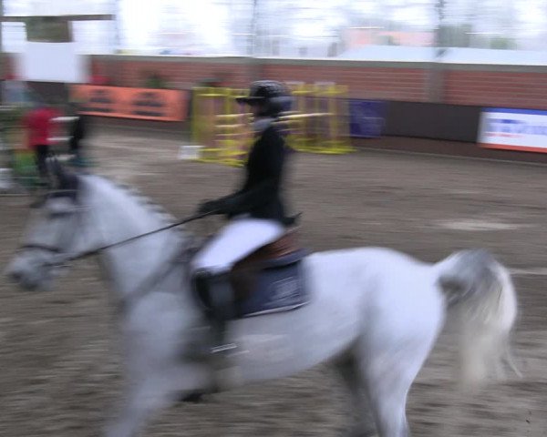 Reitturnier Greven 2023