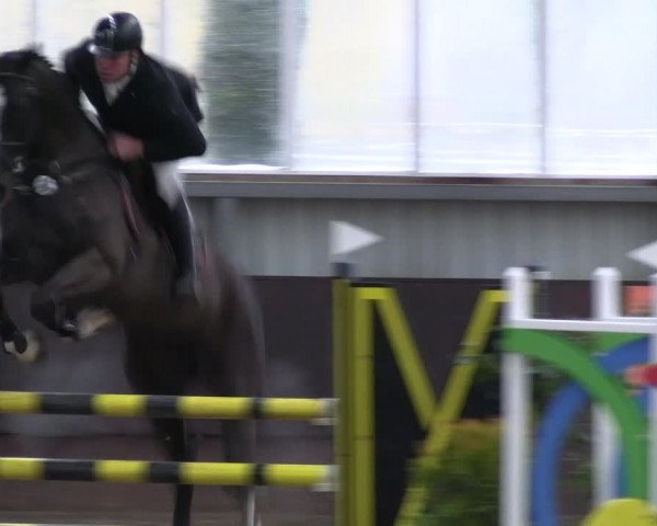 Reitturnier Greven 2023