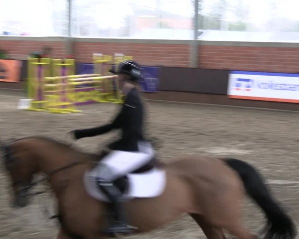 Reitturnier Greven 2023