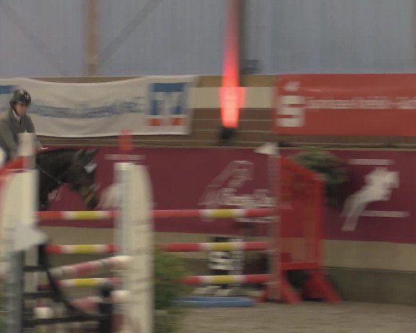 Reitturnier Kaldenkirchen - Gestüt Seehof 2023