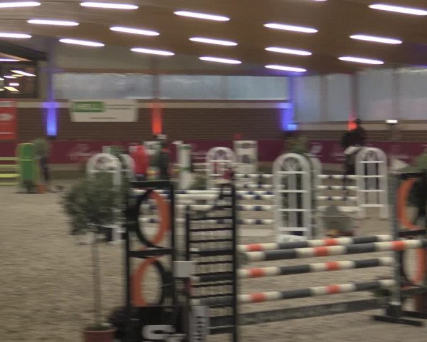Reitturnier Kaldenkirchen - Gestüt Seehof 2023