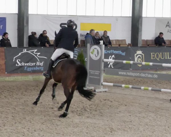 Reitturnier Karlsfeld/Obb. 2023