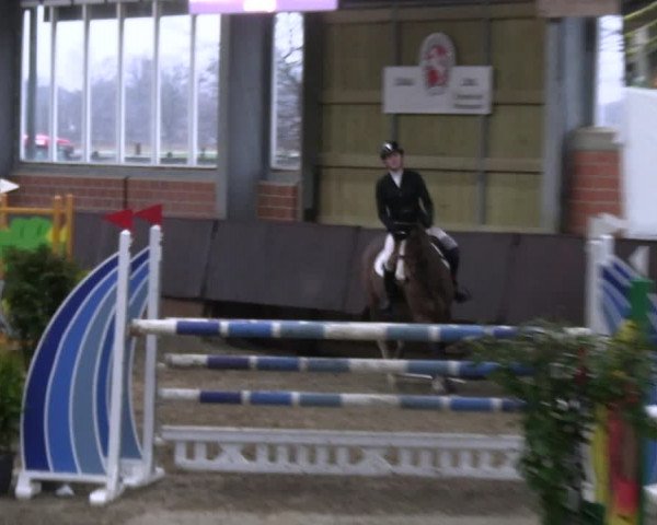 Reitturnier Greven 2023