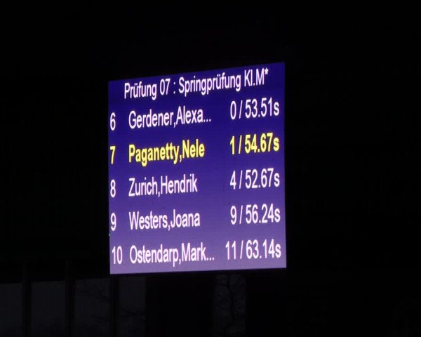 Reitturnier Greven 2023