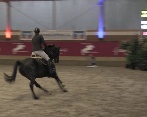 Reitturnier Kaldenkirchen - Gestüt Seehof 2023