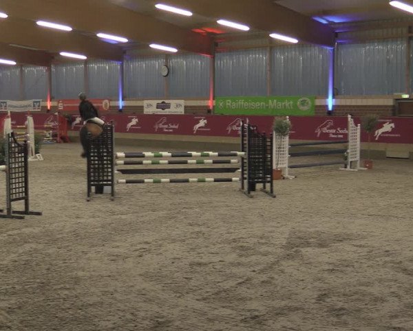 Reitturnier Kaldenkirchen - Gestüt Seehof 2023