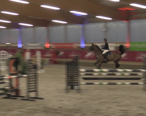 Reitturnier Kaldenkirchen - Gestüt Seehof 2023