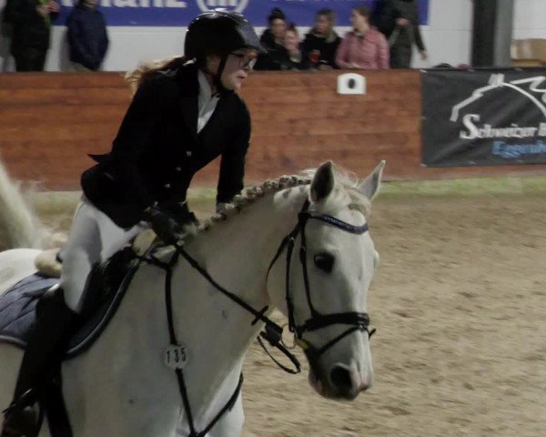 Reitturnier Karlsfeld/Obb. 2023