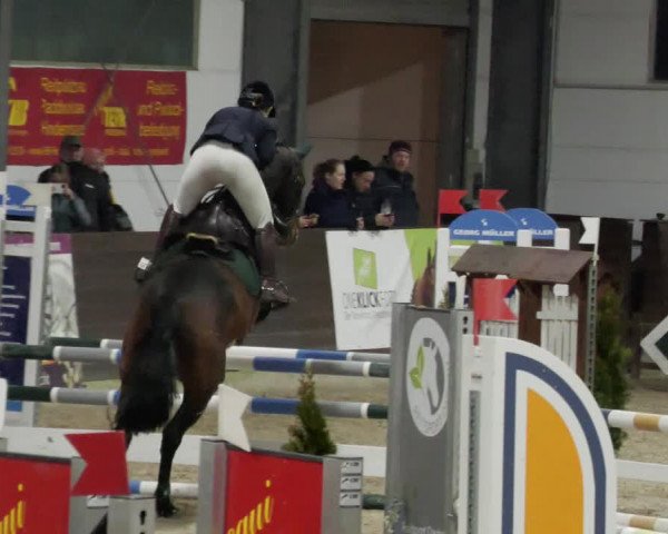Reitturnier Karlsfeld/Obb. 2023