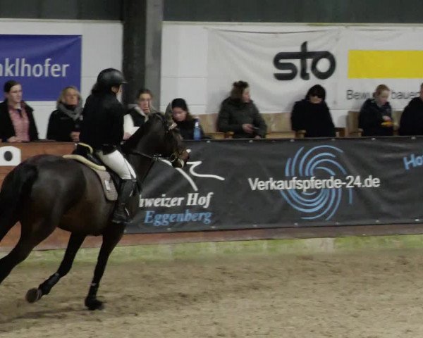 Reitturnier Karlsfeld/Obb. 2023