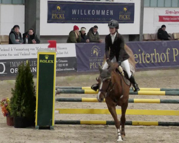 Reitturnier Karlsfeld/Obb. 2023