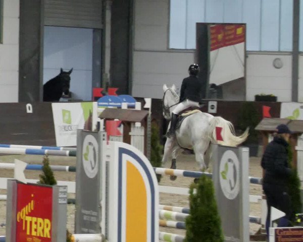 Reitturnier Karlsfeld/Obb. 2023
