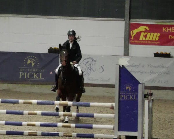 Reitturnier Karlsfeld/Obb. 2023