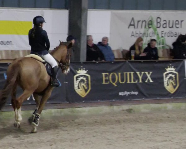 Reitturnier Karlsfeld/Obb. 2023