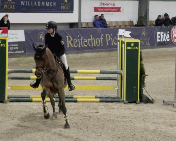 Reitturnier Karlsfeld/Obb. 2023