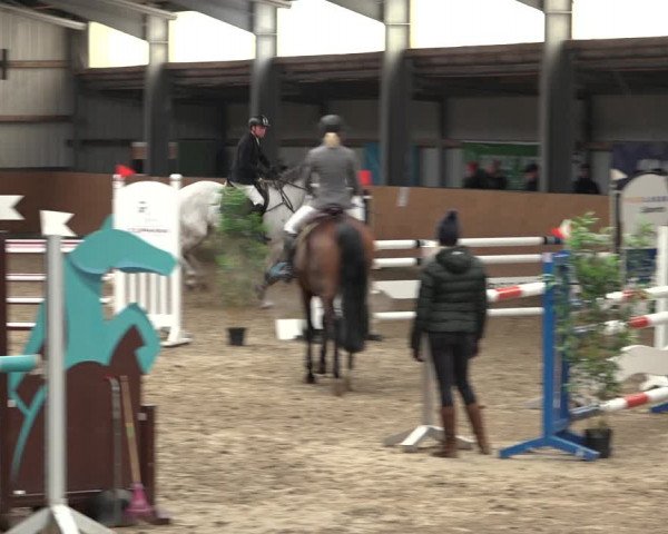 Reitturnier Schlieckau 2023