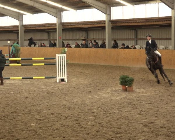 Reitturnier Schlieckau 2023