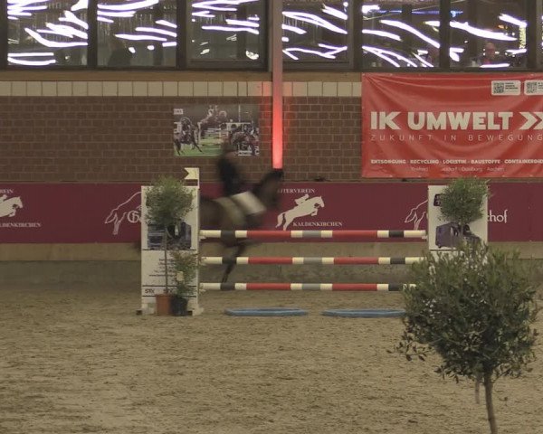 Reitturnier Kaldenkirchen - Gestüt Seehof 2023