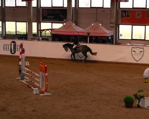 Reitturnier Prussendorf 2023