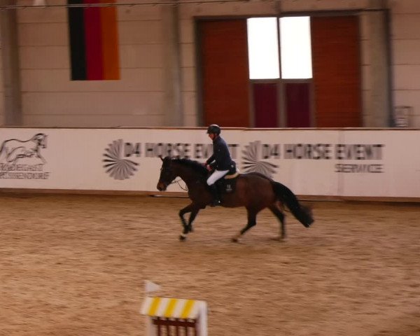 Reitturnier Prussendorf 2023