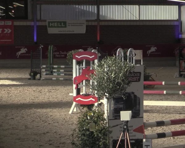 Reitturnier Kaldenkirchen - Gestüt Seehof 2023