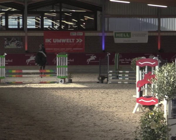 Reitturnier Kaldenkirchen - Gestüt Seehof 2023