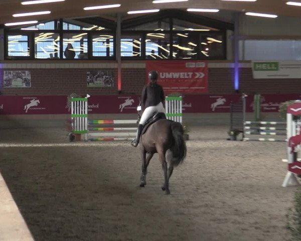 Reitturnier Kaldenkirchen - Gestüt Seehof 2023