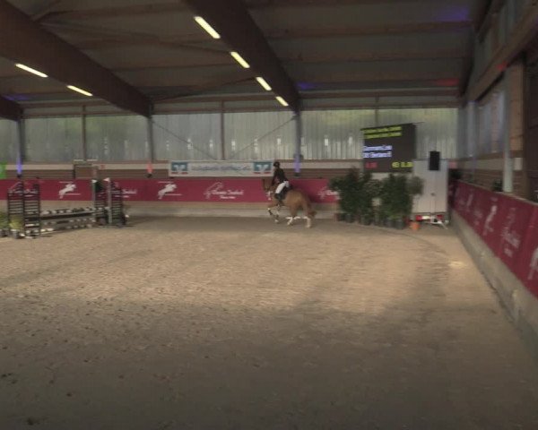 Reitturnier Kaldenkirchen - Gestüt Seehof 2023