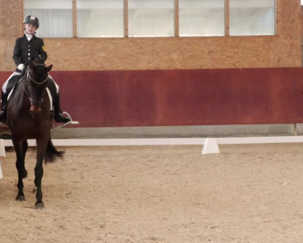 Reitturnier Balingen 2023