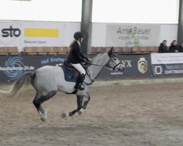 Reitturnier Karlsfeld/Obb. 2023