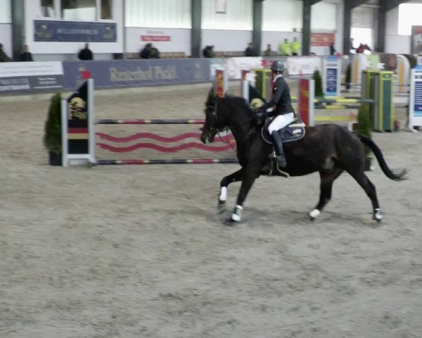 Reitturnier Karlsfeld/Obb. 2023