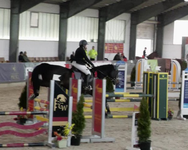 Reitturnier Karlsfeld/Obb. 2023