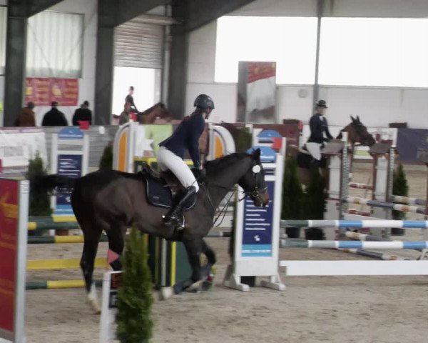 Reitturnier Karlsfeld/Obb. 2023