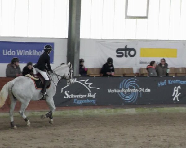 Reitturnier Karlsfeld/Obb. 2023