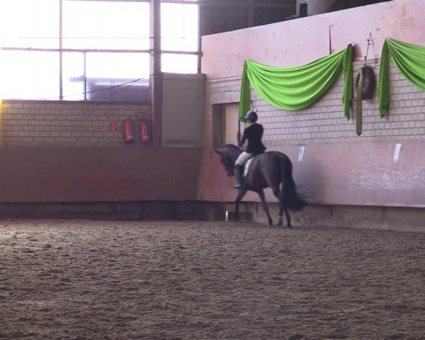 Reitturnier Hellefeld 2023