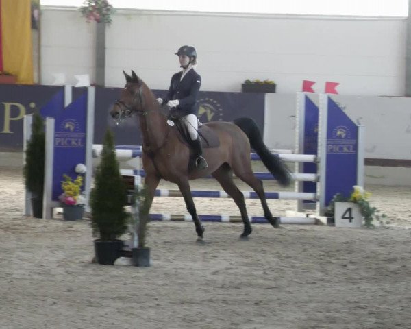 Reitturnier Karlsfeld/Obb. 2023