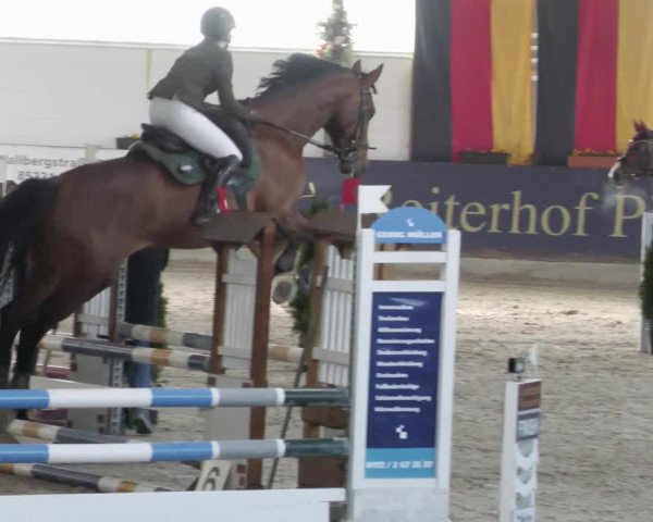 Reitturnier Karlsfeld/Obb. 2023