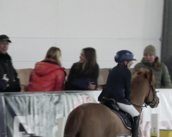 Reitturnier Karlsfeld/Obb. 2023