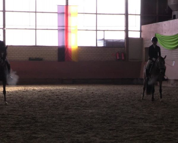 Reitturnier Hellefeld 2023
