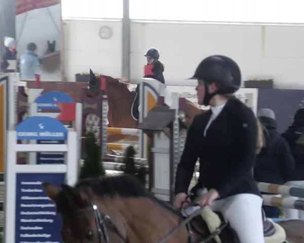 Reitturnier Karlsfeld/Obb. 2023