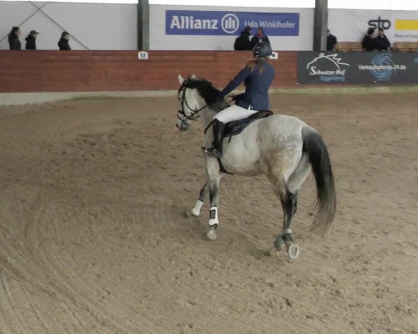 Reitturnier Karlsfeld/Obb. 2023