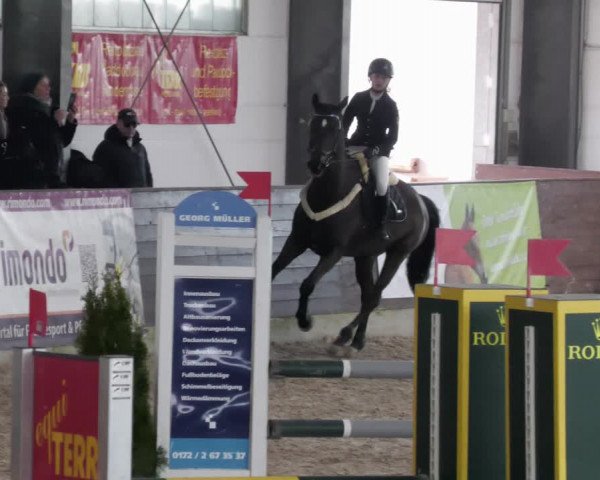 Reitturnier Karlsfeld/Obb. 2023