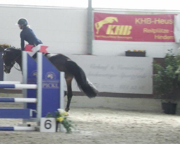 Reitturnier Karlsfeld/Obb. 2023