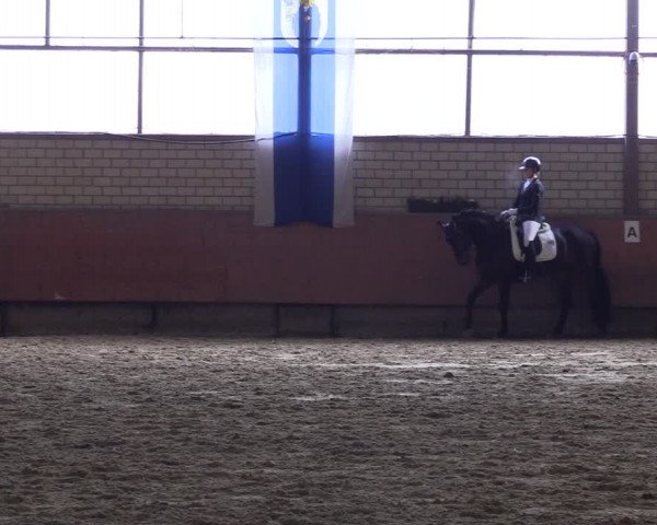 Reitturnier Hellefeld 2023