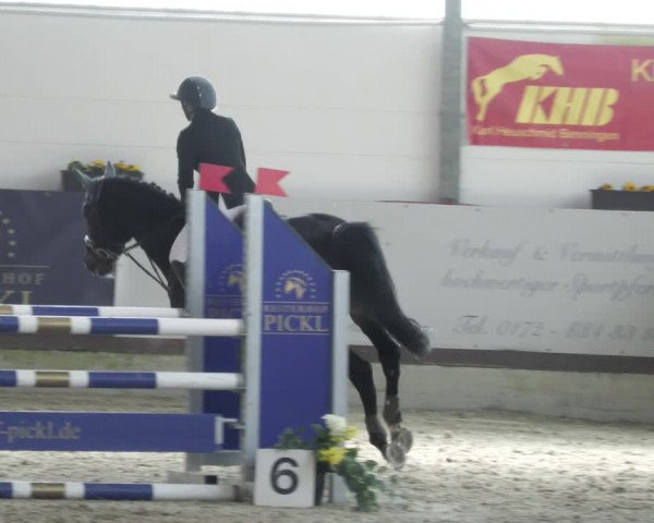 Reitturnier Karlsfeld/Obb. 2023