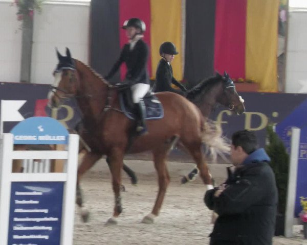 Reitturnier Karlsfeld/Obb. 2023