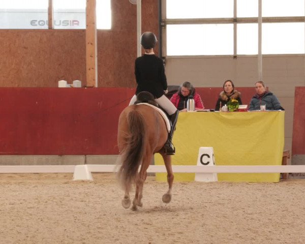 Reitturnier Balingen 2023