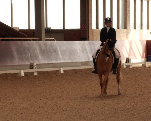 Reitturnier Balingen 2023