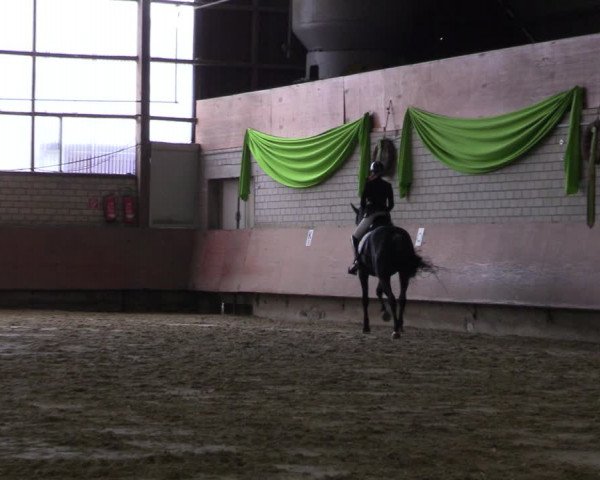 Reitturnier Hellefeld 2023