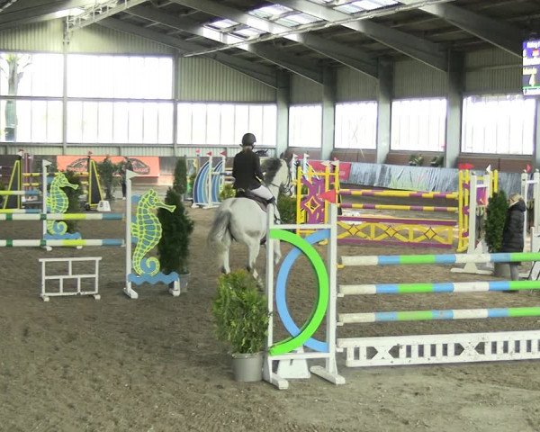 Reitturnier Greven 2023